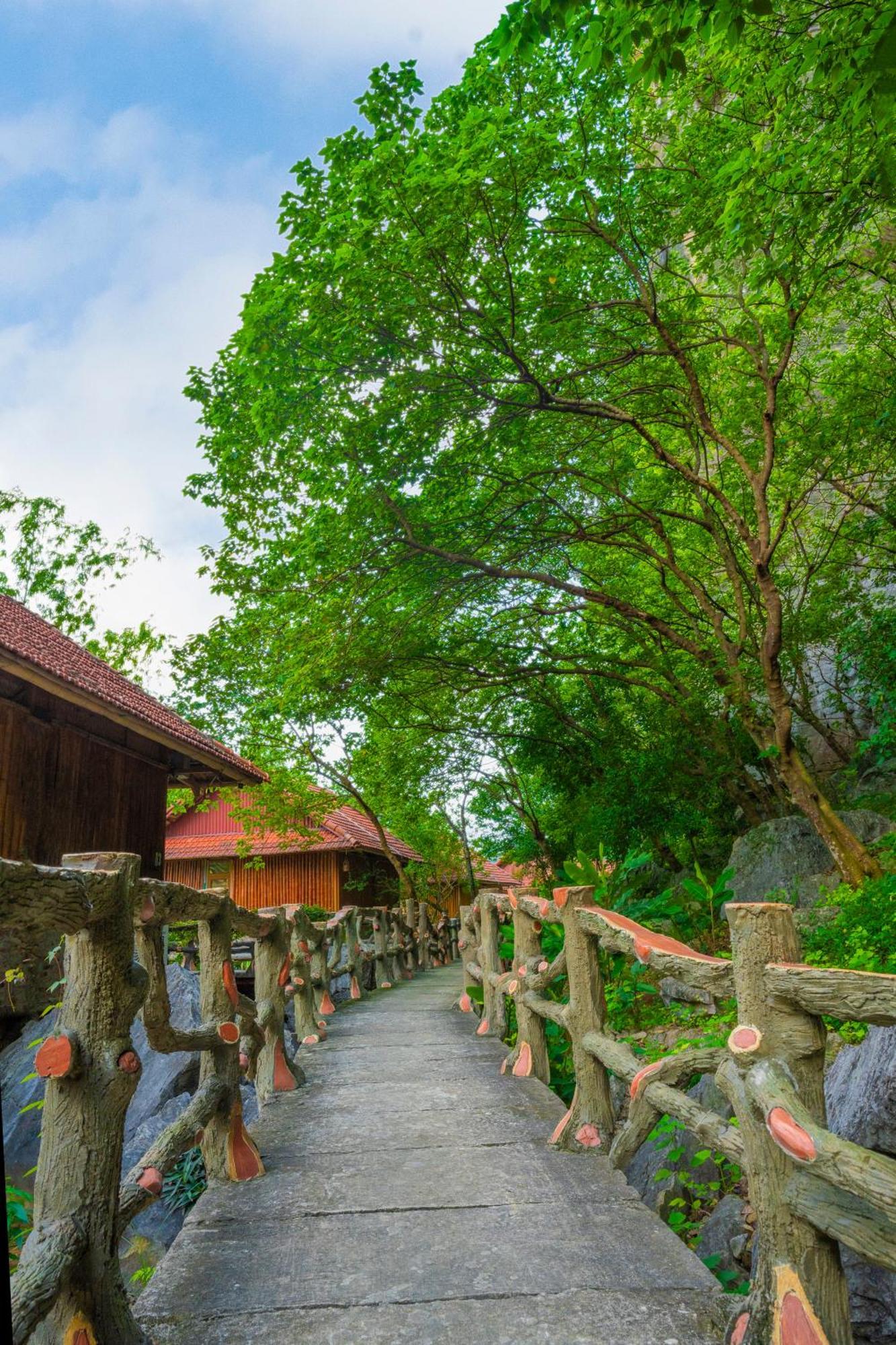 Lotus Field Homestay นิญบิ่ญ ภายนอก รูปภาพ